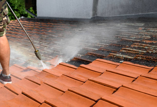 Best Pressure Washing Services for Businesses  in Spring City, TN