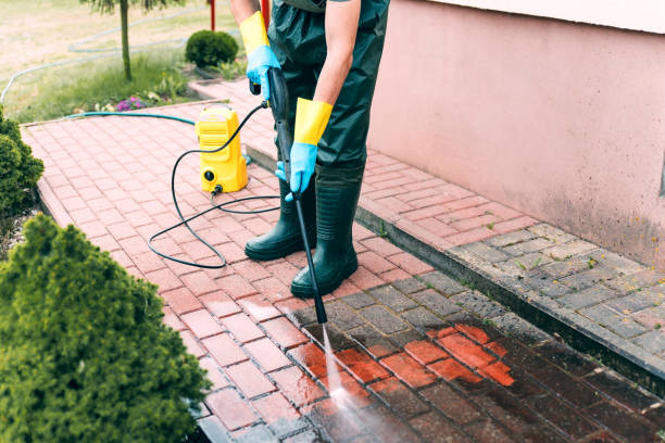 Best Roof Pressure Washing  in Spring City, TN