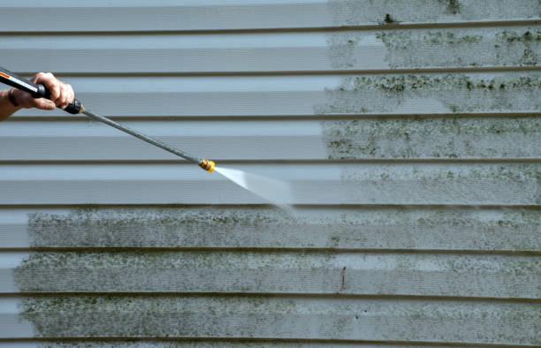 Local Pressure Washing Services in Spring City, TN