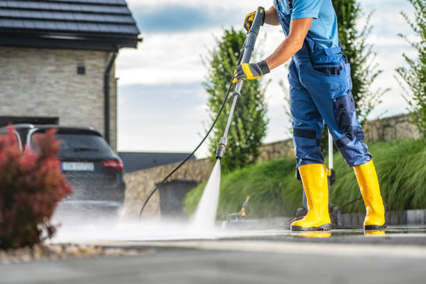 Best Roof Power Washing Services  in Spring City, TN