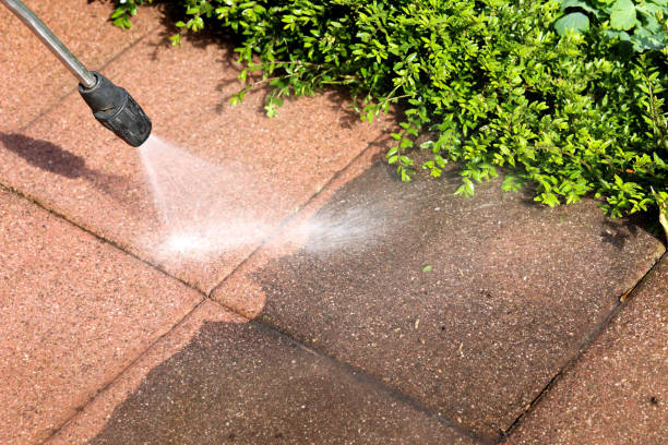 Best Concrete Pressure Washing  in Spring City, TN