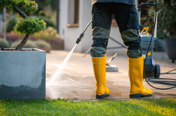 Best House Pressure Washing  in Spring City, TN